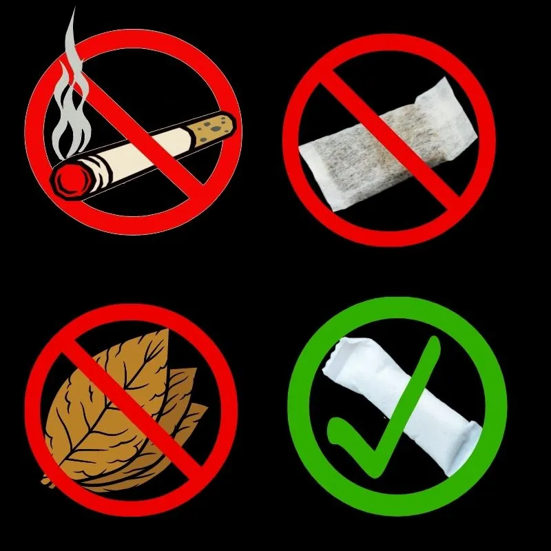 nicotine pouches do not cause cancer like tobacco