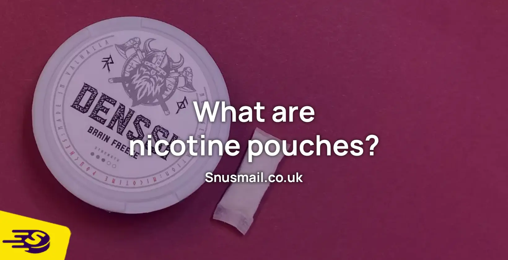 what are nicotine pouches