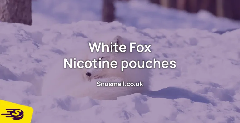 White fox nicotine pouches