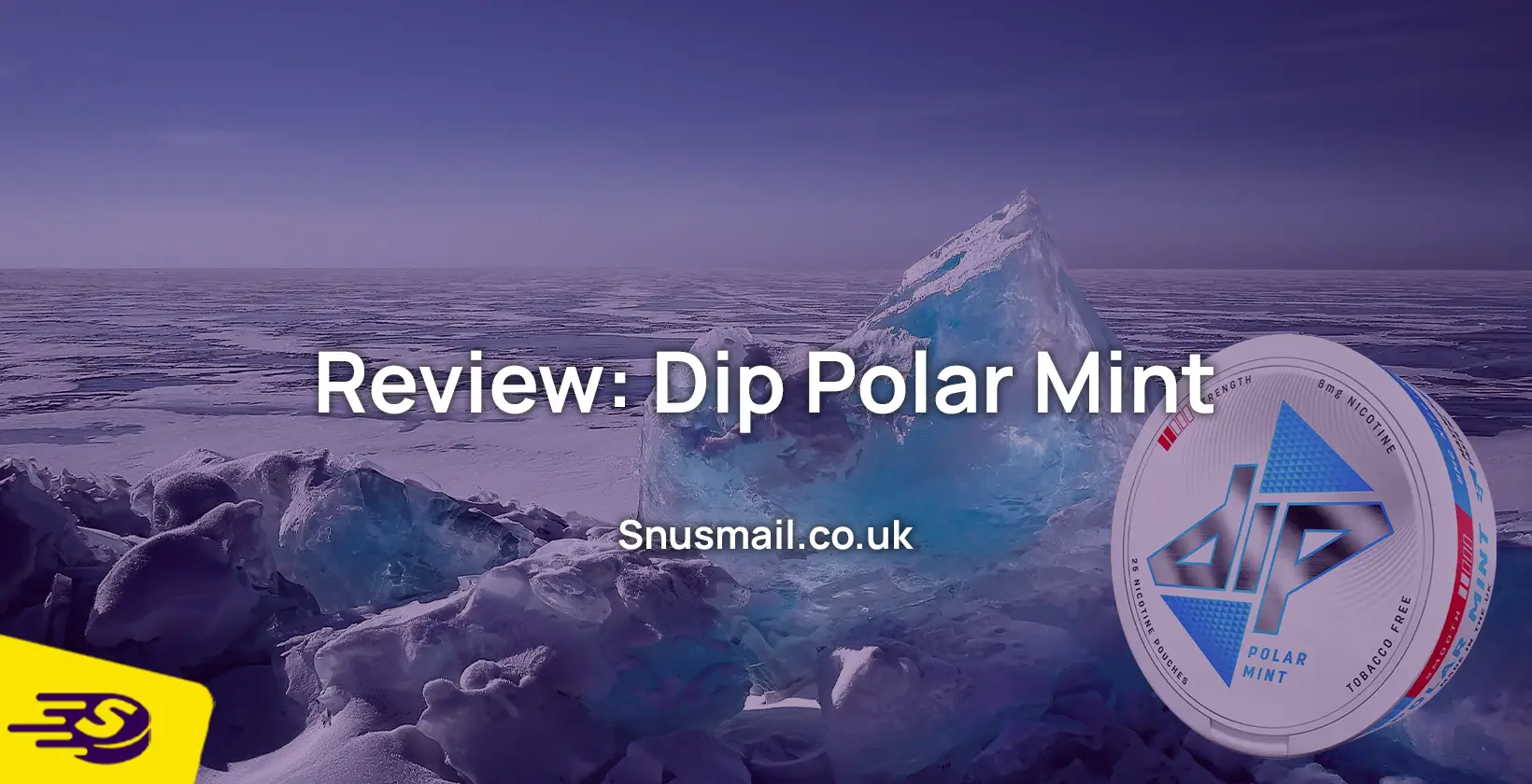 Dip polar mint review