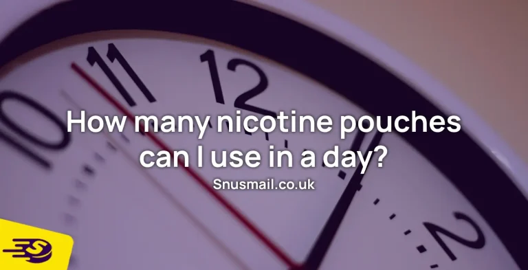 How many nicotine pouches can I use in a day?