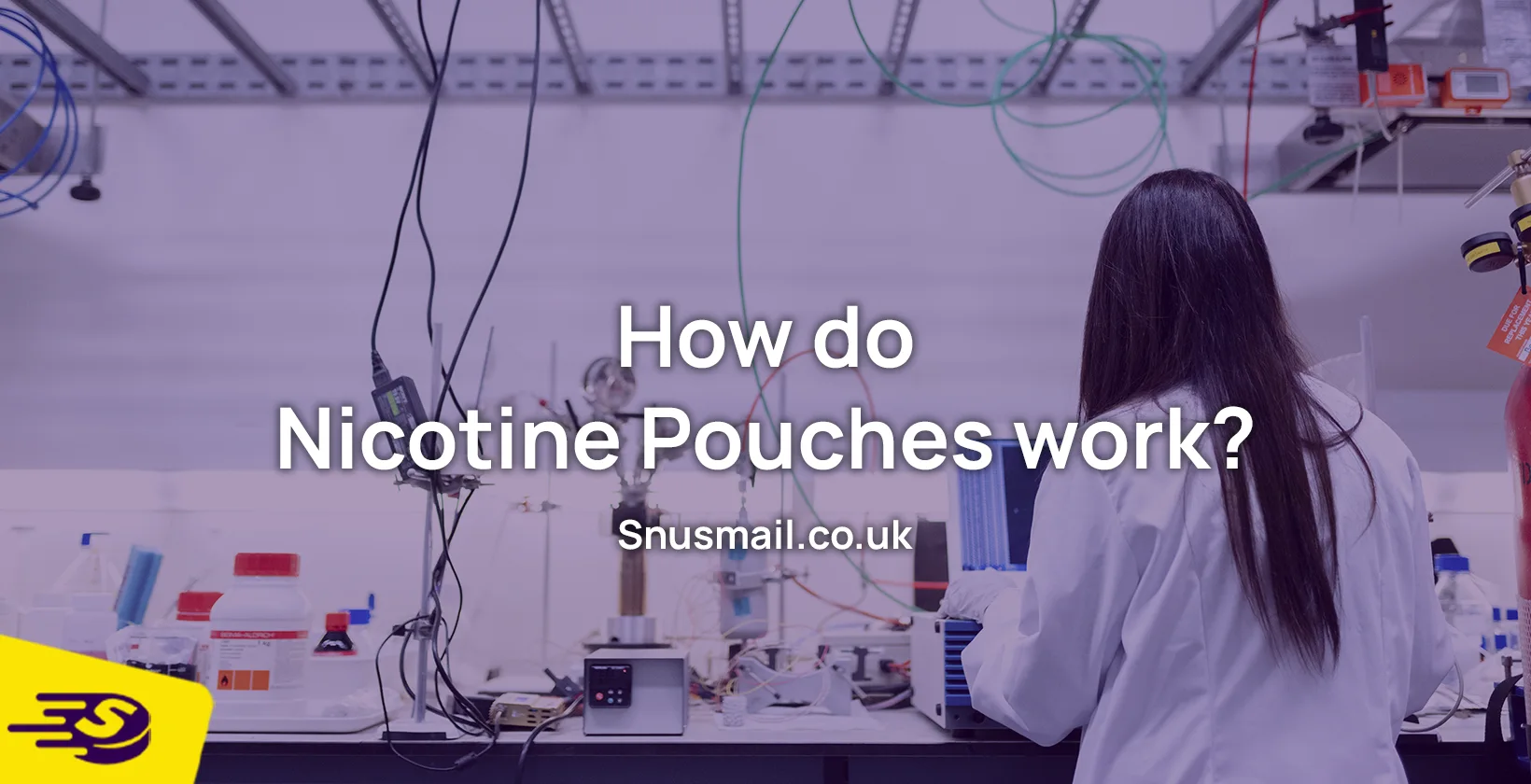 how do nicotine pouches work?