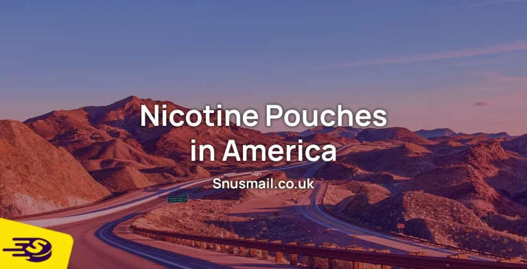 Nicotine Pouches in America