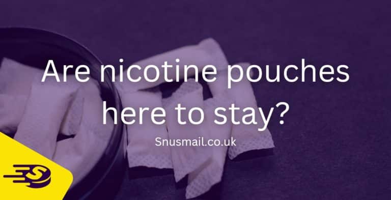 Are Nicotine Pouches Here To Stay?