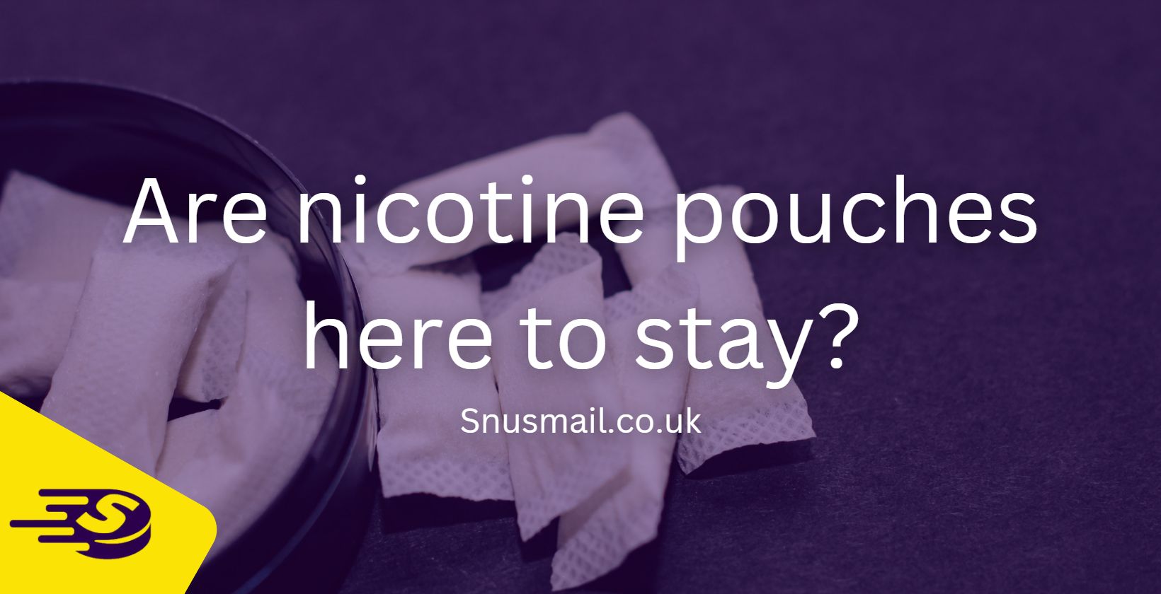 Are nicotine pouches here to stay Snusmail.co.uk