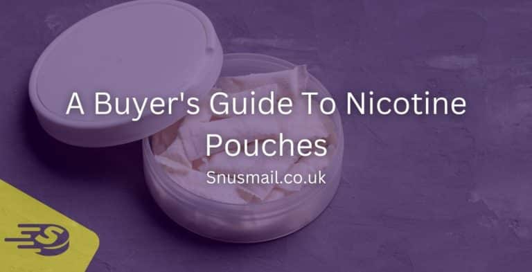 Buyer’s Guide To Nicotine Pouches
