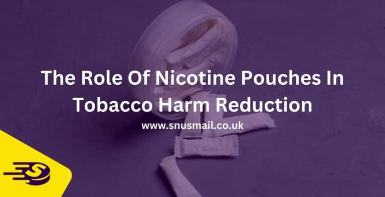 The Role Of Nicotine Pouches In Tobacco Harm Reduction