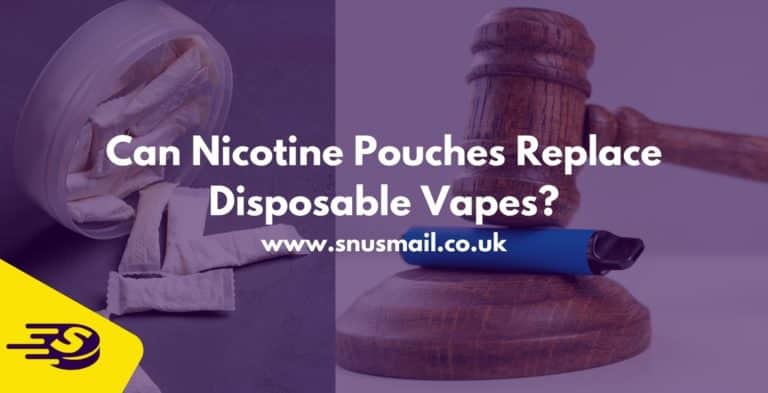 Can Nicotine Pouches Replace Disposable Vapes?